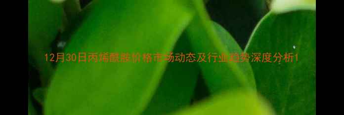 图片 12月30日丙烯酰胺价格市场动态及行业趋势深度分析1.jpg