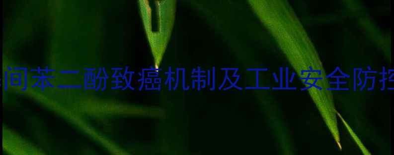 图片 2-甲基间苯二酚致癌机制及工业安全防控指南2.jpg