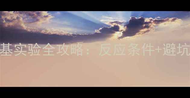 图片 三甲基吡啶卤素取代羟基实验全攻略：反应条件+避坑指南+应用场景大公开2.jpg