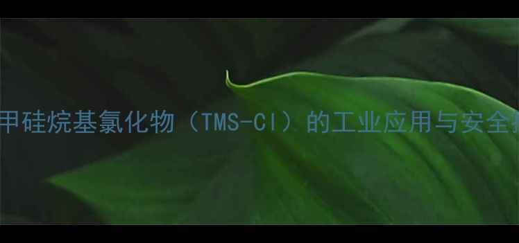 图片 三甲基甲硅烷基氯化物（TMS-Cl）的工业应用与安全操作全1.jpg