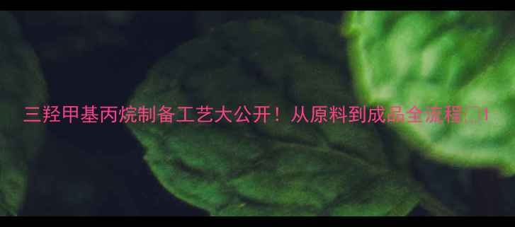 图片 三羟甲基丙烷制备工艺大公开！从原料到成品全流程🔥1.jpg