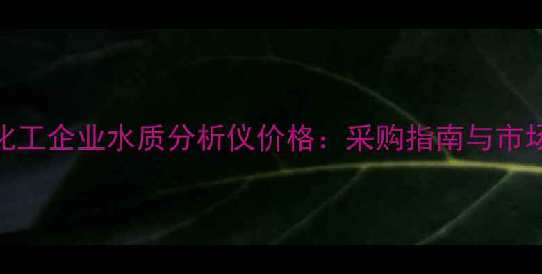 图片 上海化工企业水质分析仪价格：采购指南与市场趋势.jpg