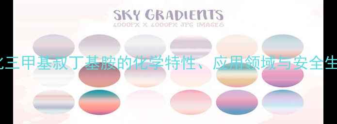 图片 专业溴化三甲基叔丁基胺的化学特性、应用领域与安全生产指南1.jpg