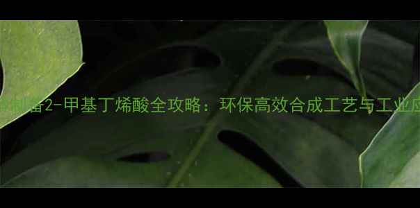 图片 丙醇制备2-甲基丁烯酸全攻略：环保高效合成工艺与工业应用.jpg