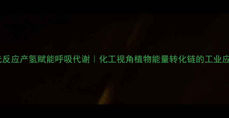 图片 主光反应产氢赋能呼吸代谢｜化工视角植物能量转化链的工业应用2.jpg