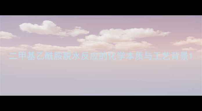 图片 二甲基乙酰胺脱水反应的化学本质与工艺背景1.jpg