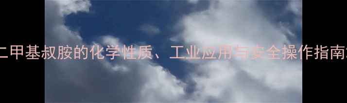 图片 二甲基叔胺的化学性质、工业应用与安全操作指南2.jpg