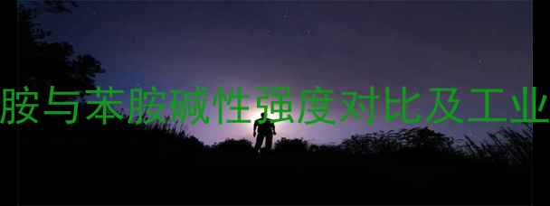 图片 二甲基苯胺与苯胺碱性强度对比及工业应用深度.jpg