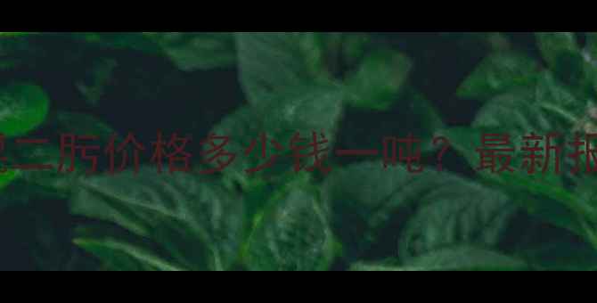 图片 二苯甲酰对醌二肟价格多少钱一吨？最新报价+采购指南.jpg