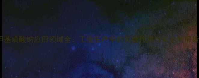 图片 亚甲基磺酸钠应用领域全：工业生产中的关键作用与安全使用指南2.jpg