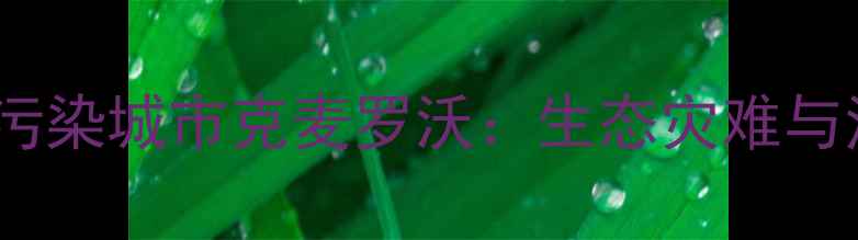 图片 俄罗斯化工污染城市克麦罗沃：生态灾难与治理措施全2.jpg