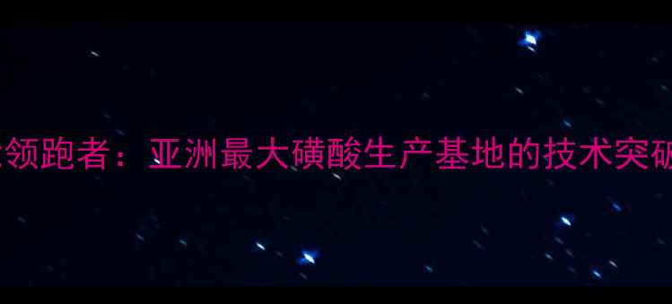 图片 全球磺酸产能领跑者：亚洲最大磺酸生产基地的技术突破与产业价值1.jpg