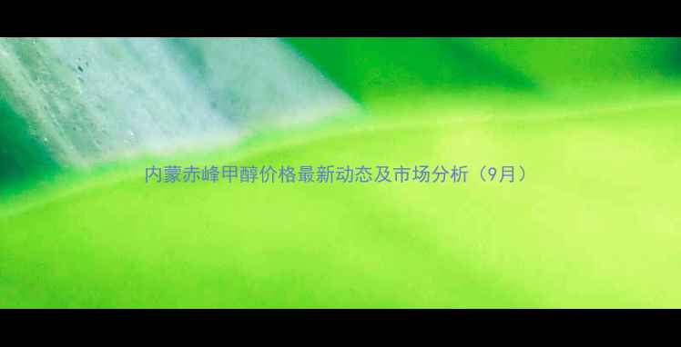 图片 内蒙赤峰甲醇价格最新动态及市场分析（9月）.jpg