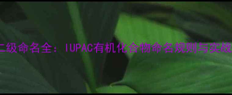 图片 化学结构二级命名全：IUPAC有机化合物命名规则与实战应用指南2.jpg