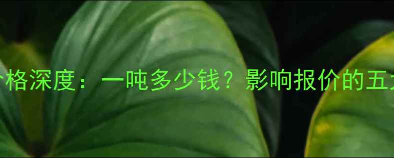 图片 化工氢气价格深度：一吨多少钱？影响报价的五大核心因素.jpg
