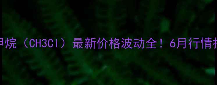 图片 化工行业必看一氯甲烷（CH3Cl）最新价格波动全！6月行情报告+采购避坑指南2.jpg