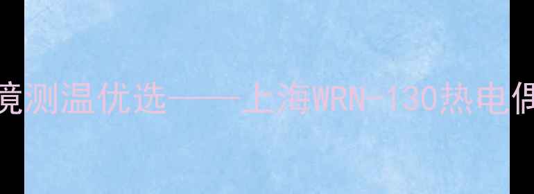 图片 化工行业高温环境测温优选——上海WRN-130热电偶价格优势及性能.jpg