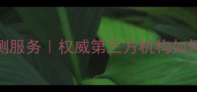 图片 化工设备探伤检测服务｜权威第三方机构如何保障质量与安全.jpg