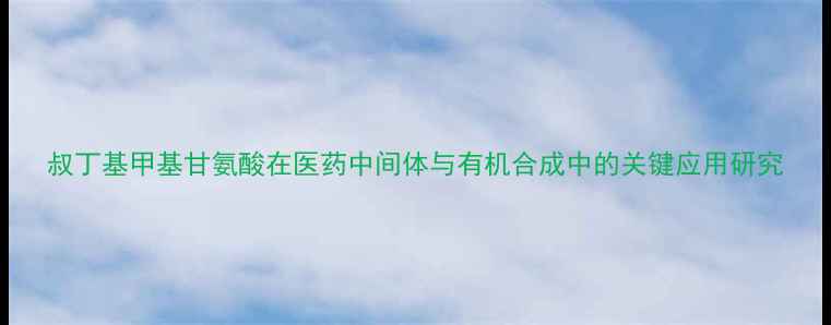 图片 叔丁基甲基甘氨酸在医药中间体与有机合成中的关键应用研究.jpg