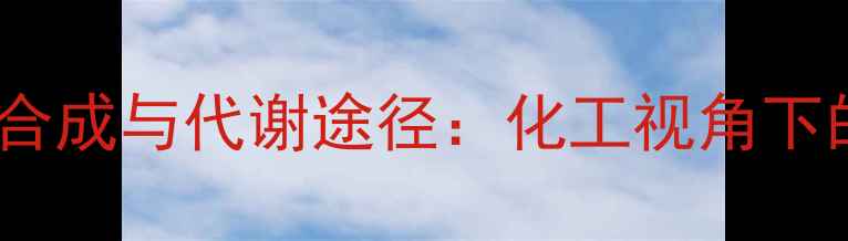 图片 哌啶酸在人体内的生物合成与代谢途径：化工视角下的合成应用及健康影响1.jpg