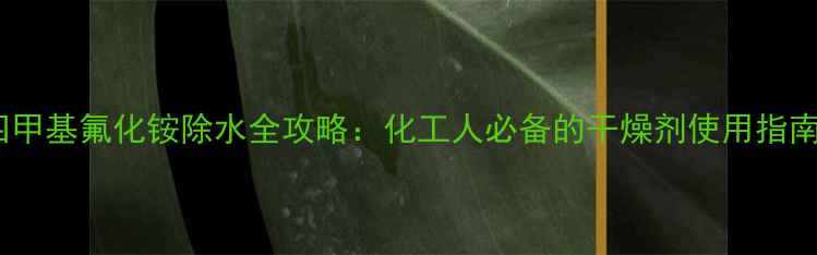 图片 四甲基氟化铵除水全攻略：化工人必备的干燥剂使用指南2.jpg
