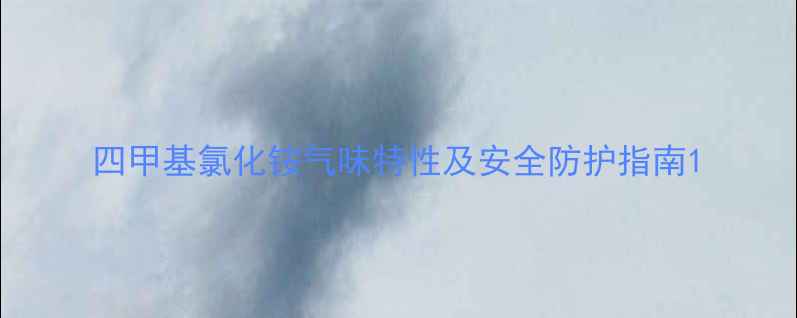 图片 四甲基氯化铵气味特性及安全防护指南1.jpg