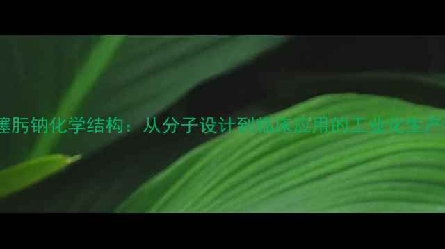图片 头孢噻肟钠化学结构：从分子设计到临床应用的工业化生产指南2.jpg