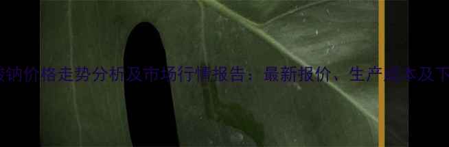 图片 工业碳酸钠价格走势分析及市场行情报告：最新报价、生产成本及下游应用1.jpg