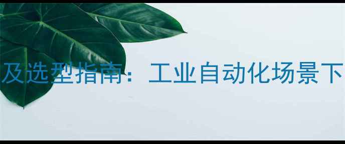 图片 数字氧气流量计价格及选型指南：工业自动化场景下的精准计量解决方案.jpg