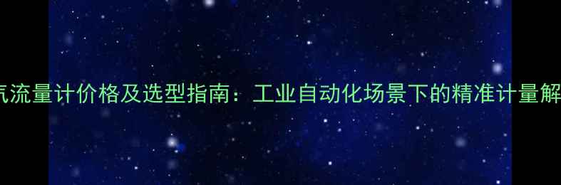 图片 数字氧气流量计价格及选型指南：工业自动化场景下的精准计量解决方案1.jpg