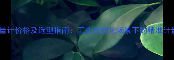 图片 数字氧气流量计价格及选型指南：工业自动化场景下的精准计量解决方案2.jpg