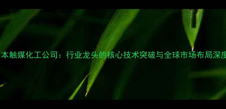 图片 日本触媒化工公司：行业龙头的核心技术突破与全球市场布局深度2.jpg