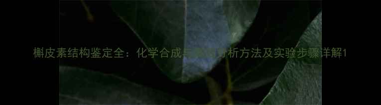 图片 槲皮素结构鉴定全：化学合成与高效分析方法及实验步骤详解1.jpg