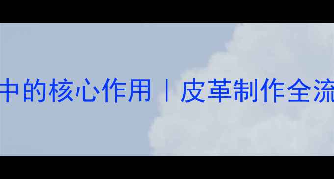 图片 氯化铵在鞣革工艺中的核心作用｜皮革制作全流程+行业应用指南2.jpg