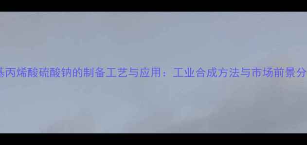 图片 甲基丙烯酸硫酸钠的制备工艺与应用：工业合成方法与市场前景分析1.jpg