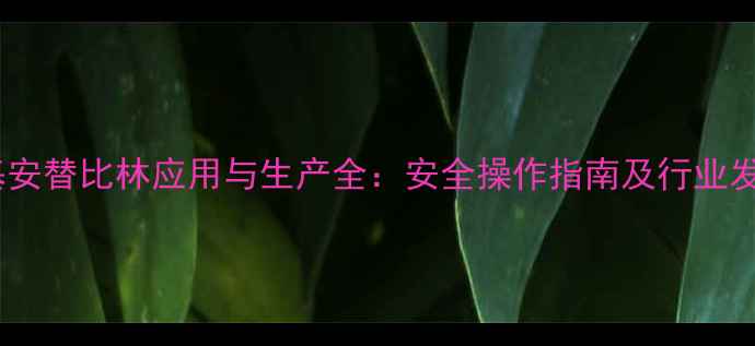 图片 甲基氨基安替比林应用与生产全：安全操作指南及行业发展趋势2.jpg