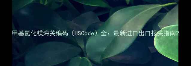 图片 甲基氯化镁海关编码（HSCode）全：最新进口出口报关指南2.jpg