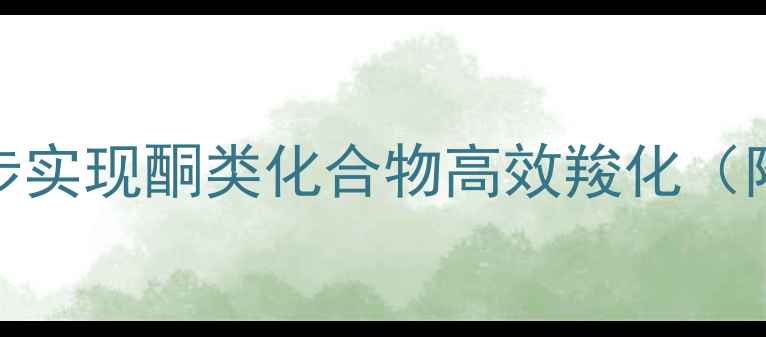 图片 甲基酮转羧酸全攻略｜3步实现酮类化合物高效羧化（附实验条件与避坑指南）2.jpg