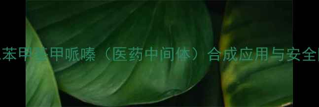 图片 盐酸二苯甲基甲哌嗪（医药中间体）合成应用与安全防护全.jpg