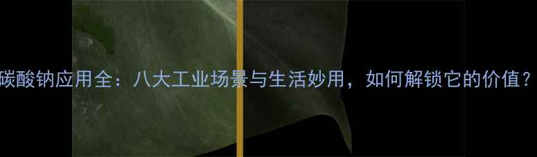 图片 碳酸钠应用全：八大工业场景与生活妙用，如何解锁它的价值？.jpg