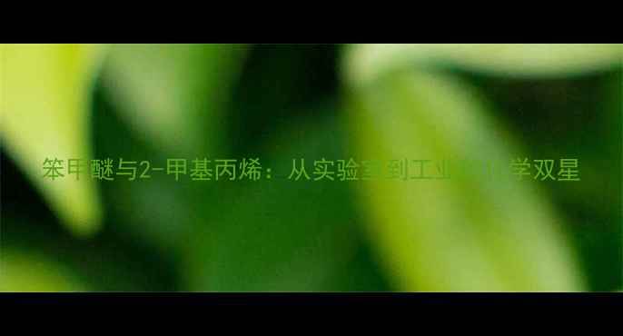 图片 笨甲醚与2-甲基丙烯：从实验室到工业的化学双星.jpg