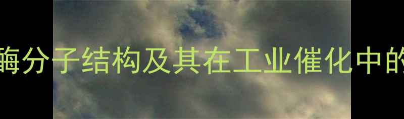 图片 菠萝蛋白酶分子结构及其在工业催化中的应用研究.jpg