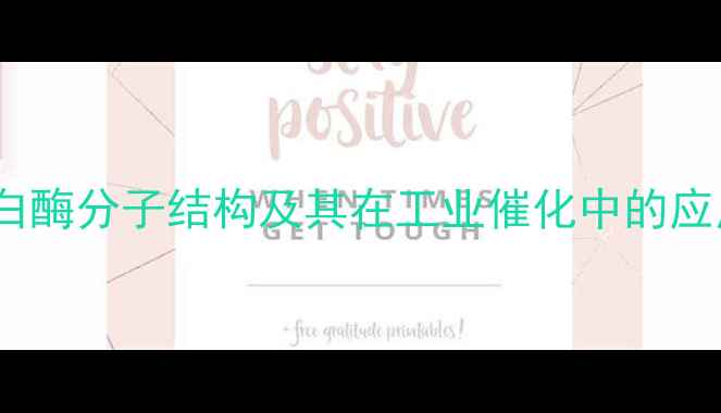 图片 菠萝蛋白酶分子结构及其在工业催化中的应用研究2.jpg