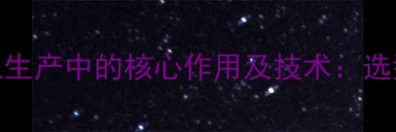 图片 过滤分离器在化工生产中的核心作用及技术：选型指南与维护要点.jpg