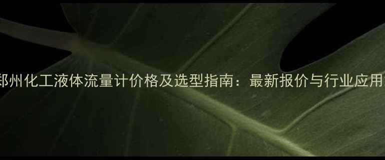 图片 郑州化工液体流量计价格及选型指南：最新报价与行业应用2.jpg