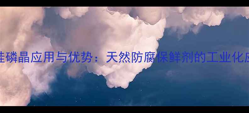 图片 食品级硅磷晶应用与优势：天然防腐保鲜剂的工业化应用指南.jpg