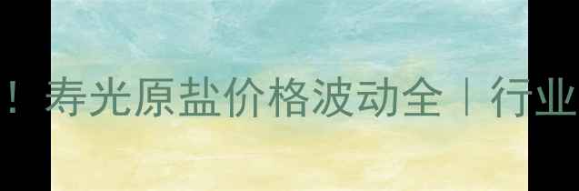 图片 🌊化工行业必看！寿光原盐价格波动全｜行业趋势+应对策略1.jpg