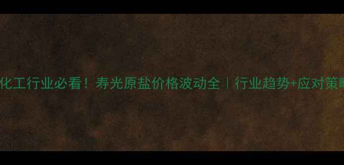 图片 🌊化工行业必看！寿光原盐价格波动全｜行业趋势+应对策略2.jpg