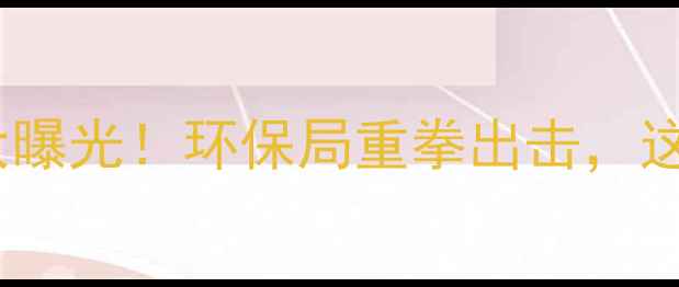图片 🌟江苏徐州小化工整治大曝光！环保局重拳出击，这些隐患企业被查封！🌟1.jpg