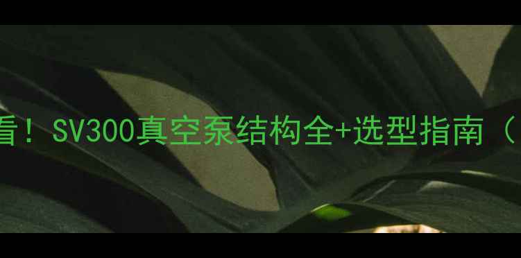 图片 💡化工设备必看！SV300真空泵结构全+选型指南（附维护技巧）2.jpg